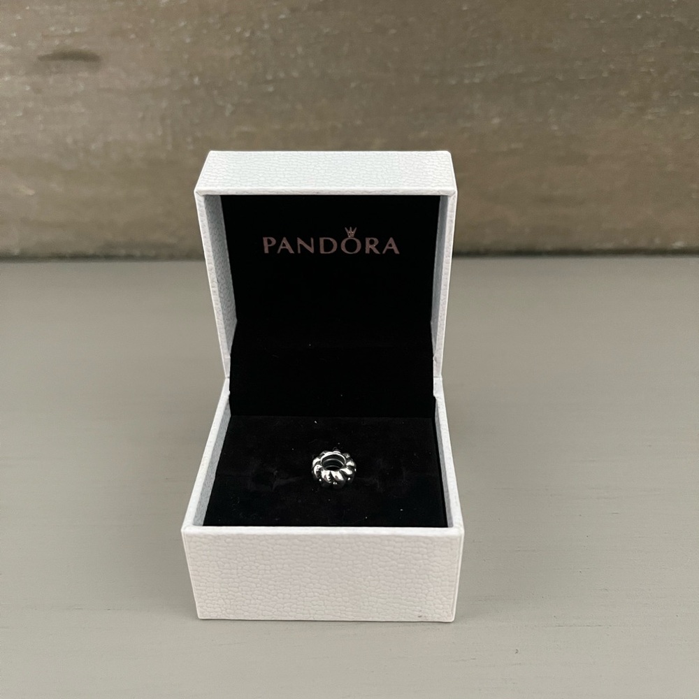 Pandora Silver Spacer Charm